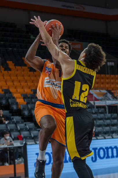 颇有建树 颇有建树